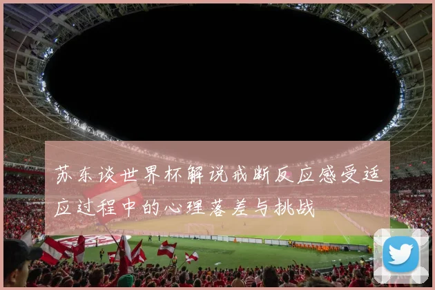 苏东谈世界杯解说戒断反应感受适应过程中的心理落差与挑战
